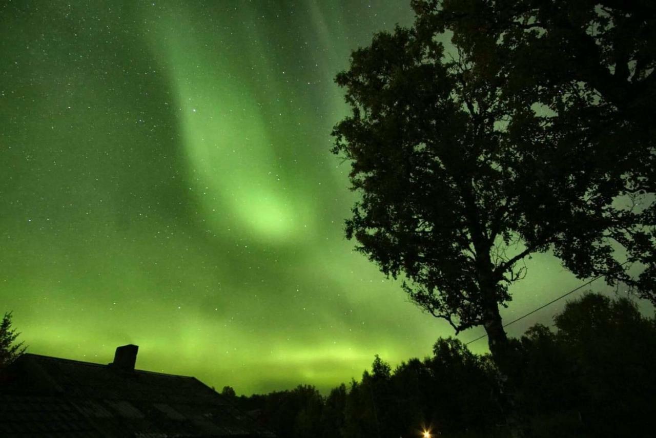 Karistua Villa Hansnes Eksteriør bilde